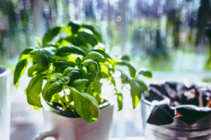 The Kitchen Gets Ignored and It Should n't